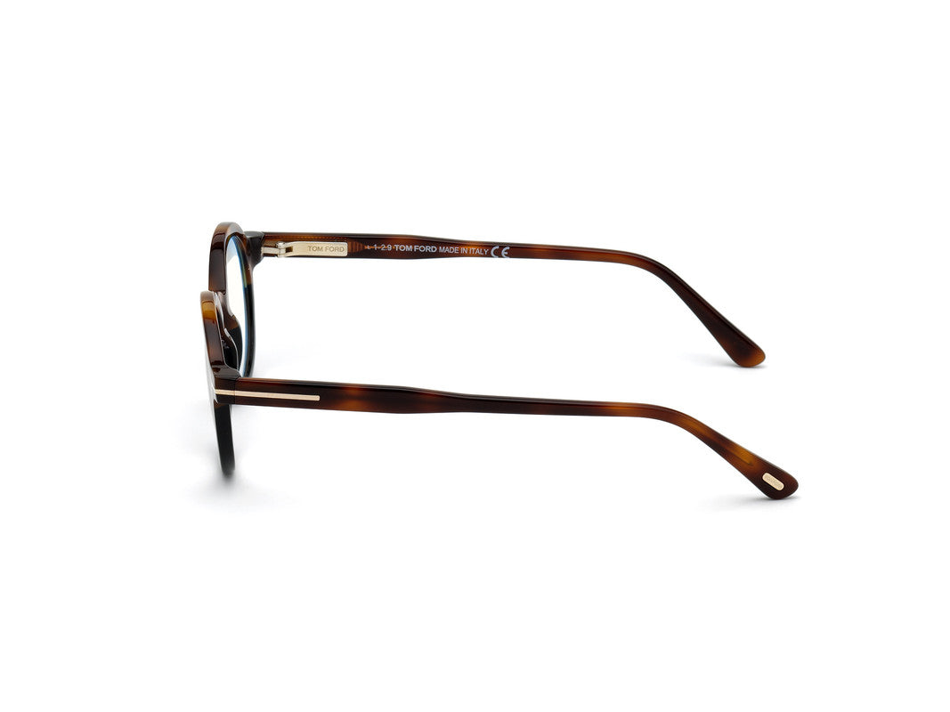 Light Brown/Gradient Unisex Glasses Tom Ford 889214137975