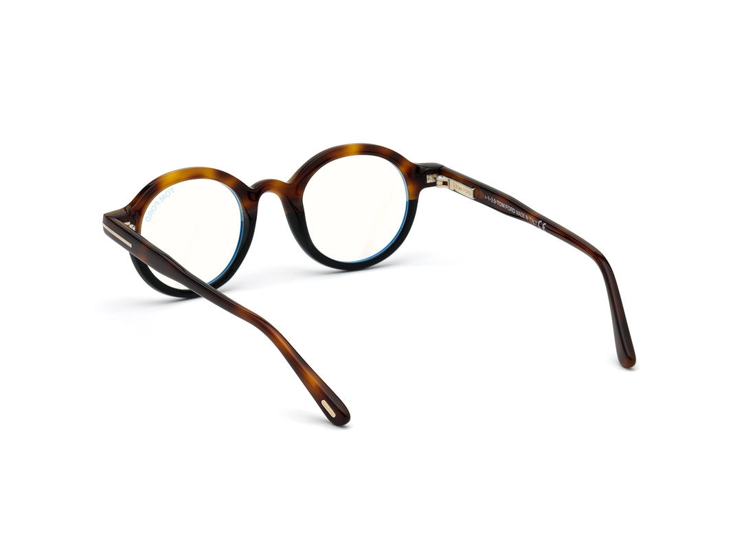 Light Brown/Gradient Unisex Glasses Tom Ford 889214137975