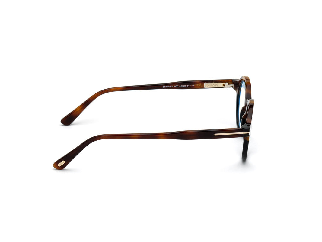 Light Brown/Gradient Unisex Glasses Tom Ford 889214137975