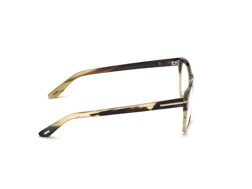 Brown Horn
 Male Glasses Tom Ford Private Collection 889214211149