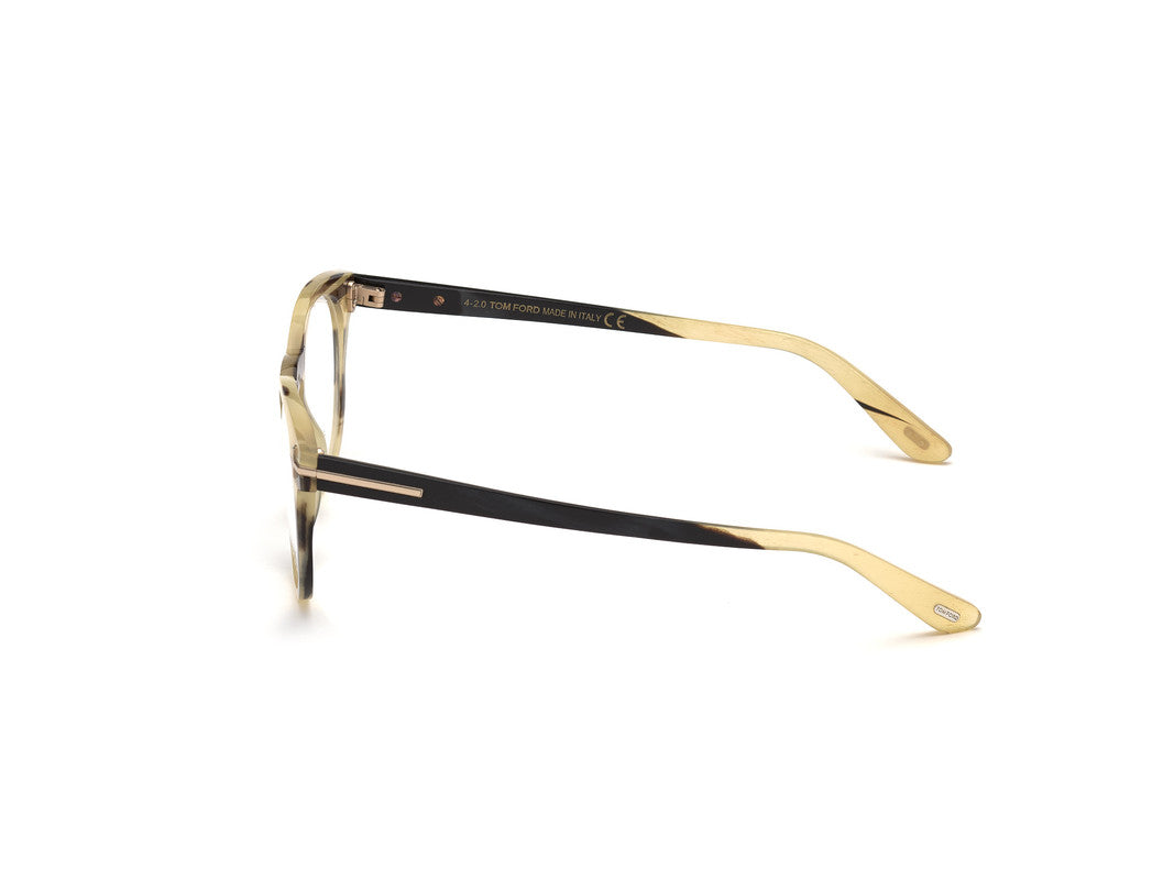 Brown Horn Male Glasses Tom Ford Private Collection 889214211187
