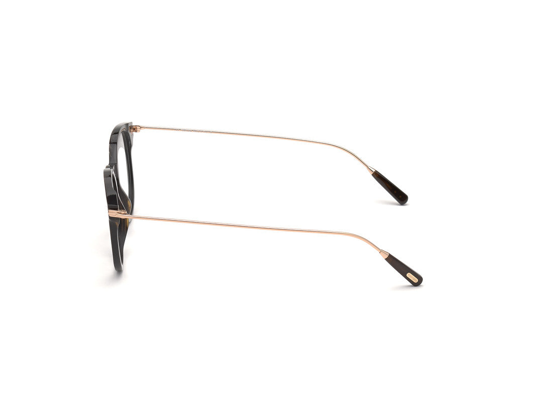 Black Horn Male Glasses Tom Ford Private Collection 889214211231