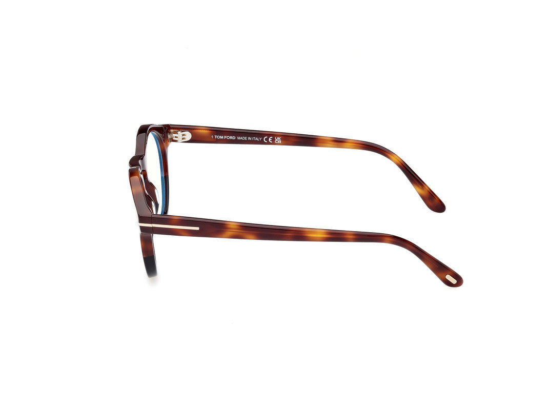 Black/Havana Unisex Glasses Tom Ford 889214418791