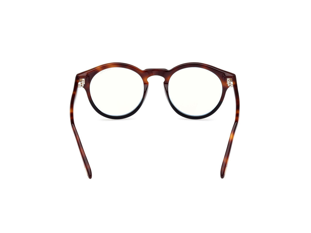 Black/Havana Unisex Glasses Tom Ford 889214418791