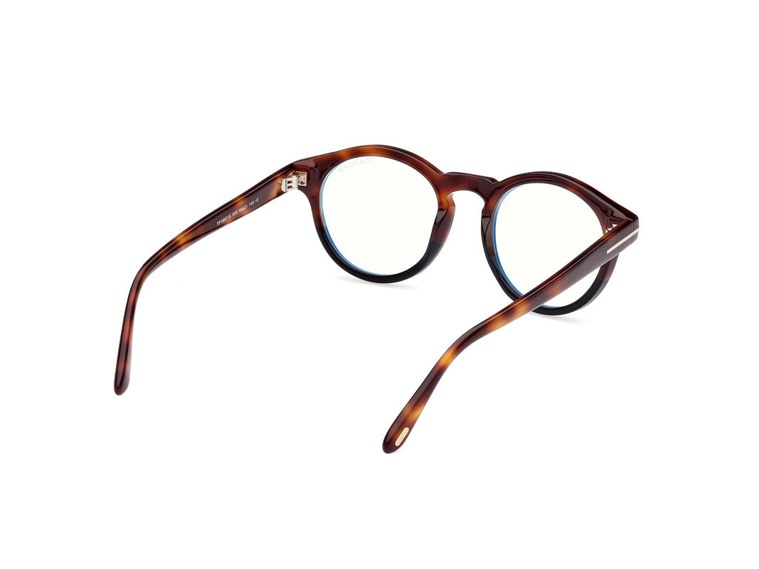 Black/Havana Unisex Glasses Tom Ford 889214418791