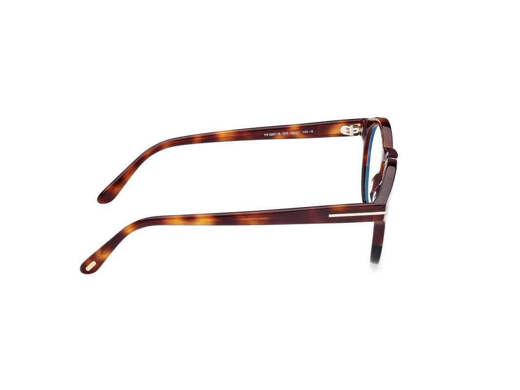 Black/Havana Unisex Glasses Tom Ford 889214418791