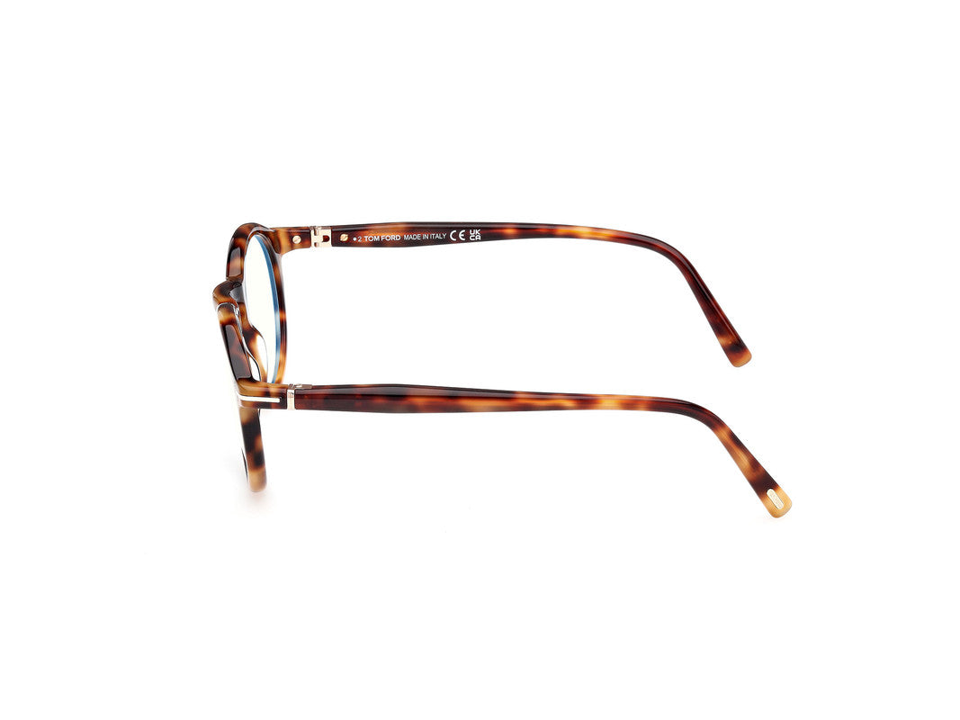 Blonde Havana Male Glasses Tom Ford 889214522498