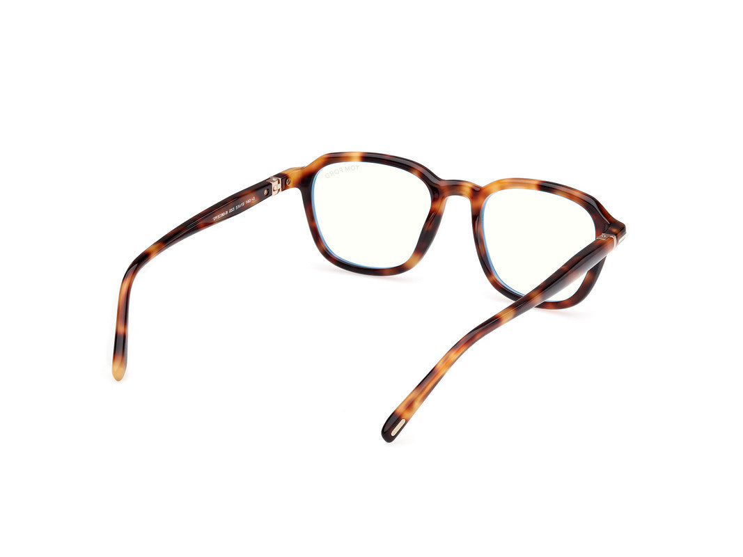 Blonde Havana Male Glasses Tom Ford 889214522535