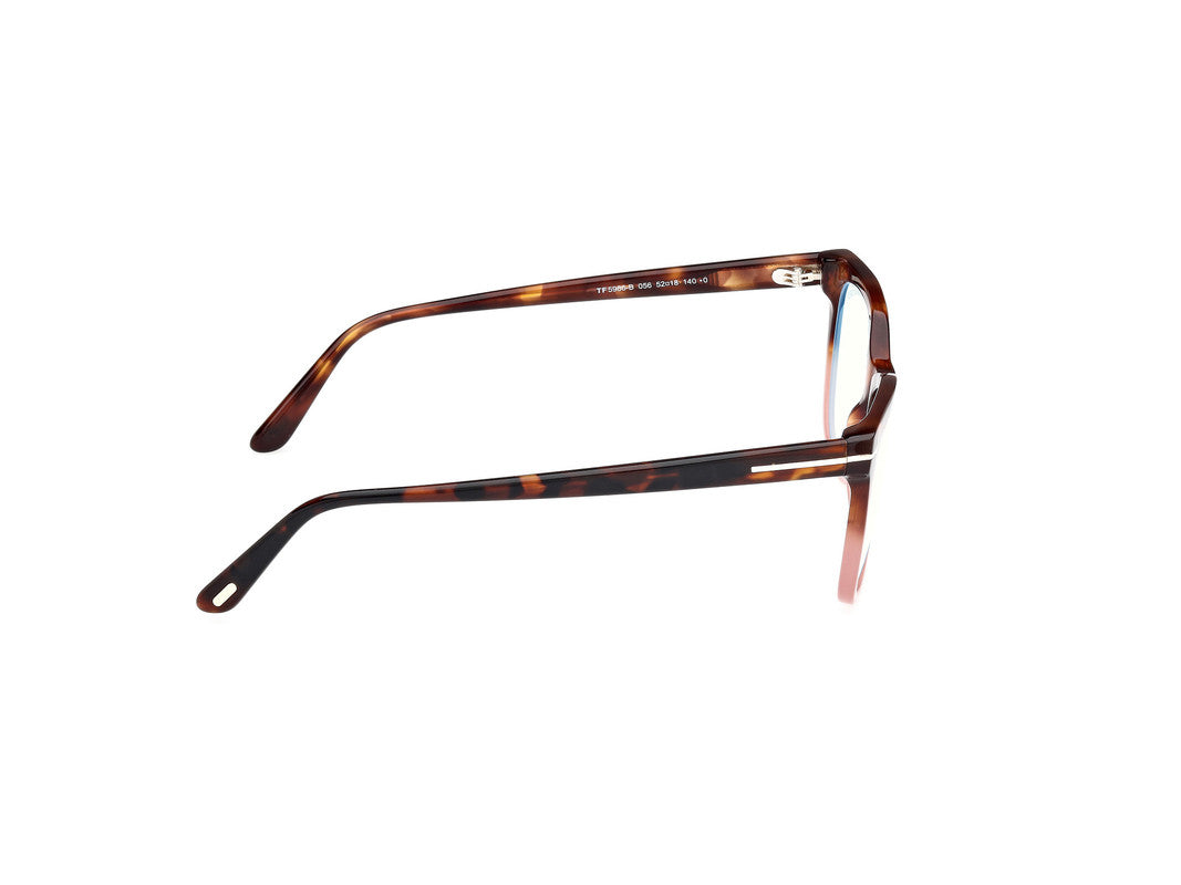 Havana/Gradient
 Female Glasses Tom Ford 889214522726