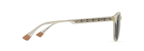 GS636-21