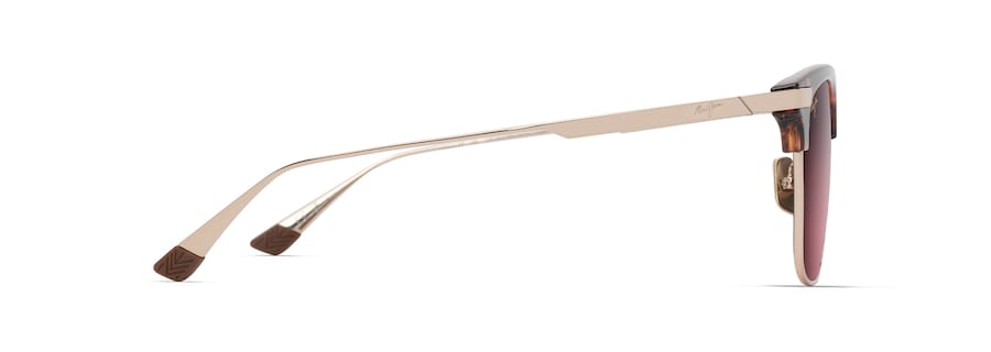 RS629-10A