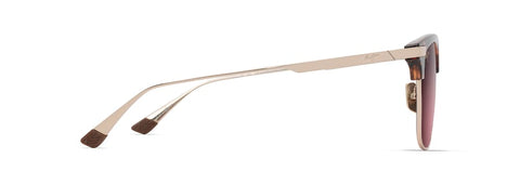 RS629-10A