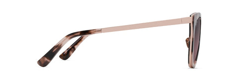 RS870-09