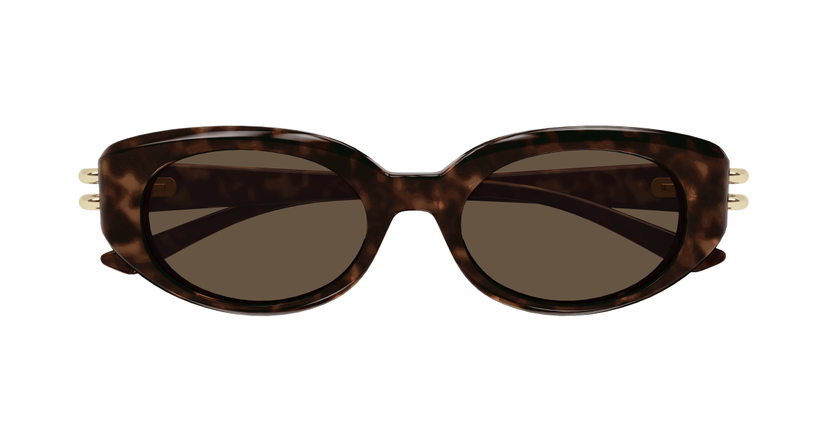 Alexander McQueen AM0469S Havana 889652508863
