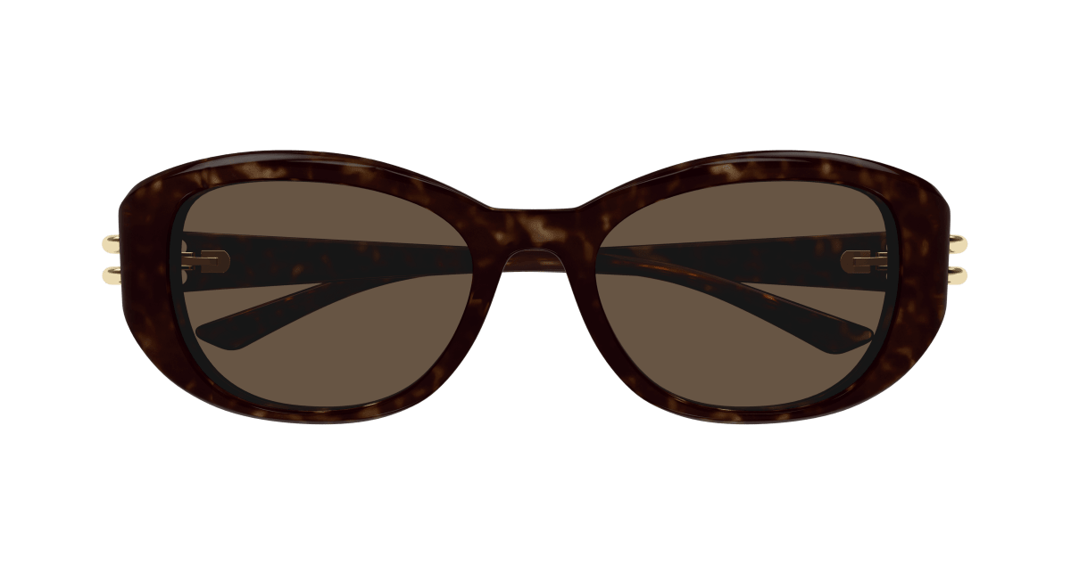 Alexander McQueen AM0470SA Havana 889652509631