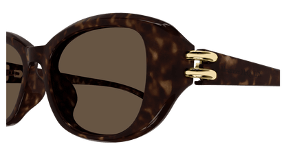 Alexander McQueen AM0470SA Havana 889652509631