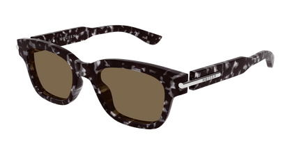 Alexander McQueen AM0497S Havana 889652549859