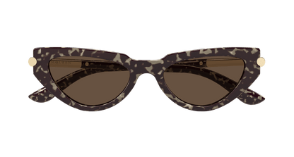 Alexander McQueen AM0520S Havana 889652585697
