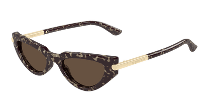Alexander McQueen AM0520S Havana 889652585697