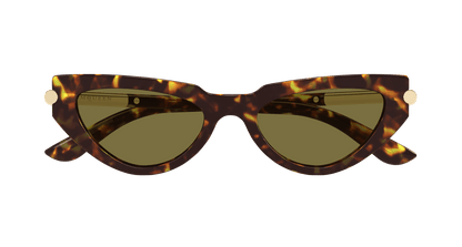 Alexander McQueen AM0520S Havana 889652585703