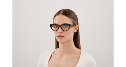 Alexander McQueen AM0529O Havana 889652590066