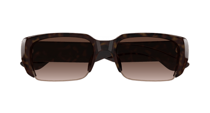 Alexander McQueen AM0532S Havana 889652589961