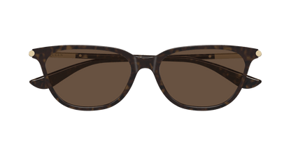 Alexander McQueen AM0553S Havana 889652641249