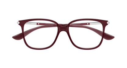 Alexander McQueen AM0554O Burgundy 889652641850