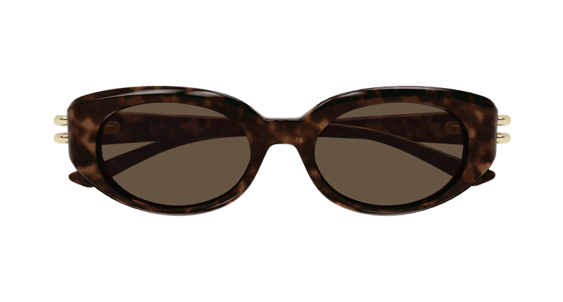 AM0469S - HAVANA - Alexander McQueen - Alexander McQueen - HAVANA - Ardor Eyewear 889652508863