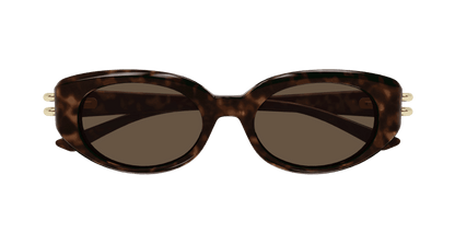 AM0469S - HAVANA - Alexander McQueen - Alexander McQueen - HAVANA - Ardor Eyewear 889652508863