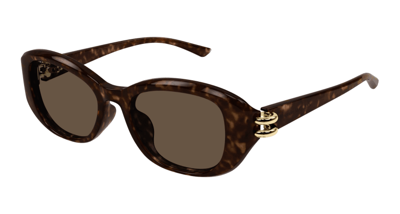 AM0470SA - HAVANA - Alexander McQueen - Alexander McQueen - HAVANA - Ardor Eyewear 889652509631