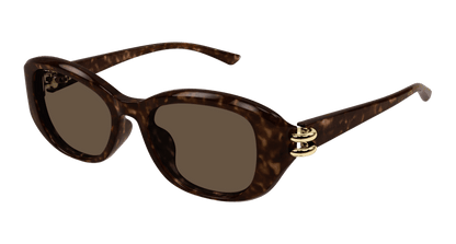 AM0470SA - HAVANA - Alexander McQueen - Alexander McQueen - HAVANA - Ardor Eyewear 889652509631