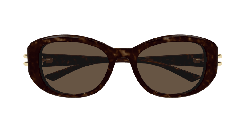 AM0470SA - HAVANA - Alexander McQueen - Alexander McQueen - HAVANA - Ardor Eyewear 889652509631
