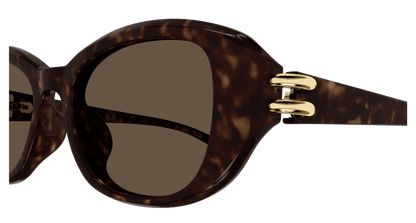 AM0470SA - HAVANA - Alexander McQueen - Alexander McQueen - HAVANA - Ardor Eyewear 889652509631