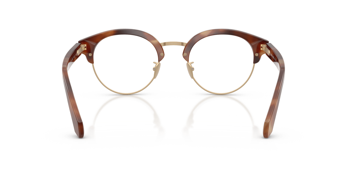 0AR7283 Brown Havana rear view image 3 barcode 8056262565322