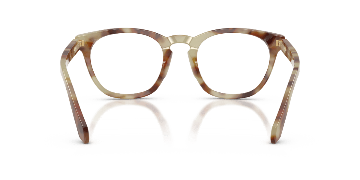 0AR7284 Brown Mint Tortoise rear view image 3 barcode 8056262565001