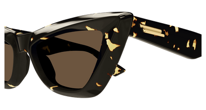 Bottega Veneta BV1101S Havana 889652335513