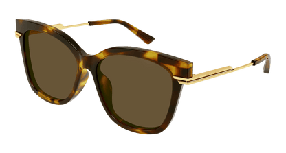 Bottega Veneta BV1296SA Havana 889652486512