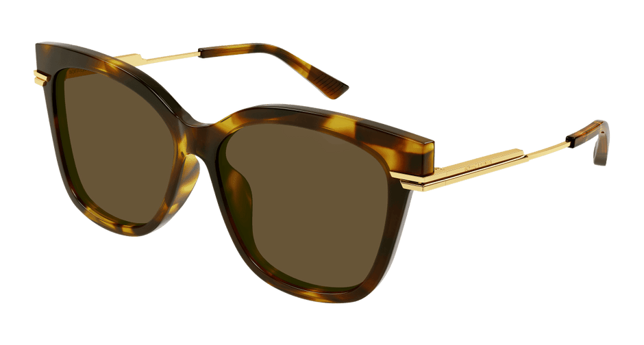 Bottega Veneta BV1296SA Havana 889652486512