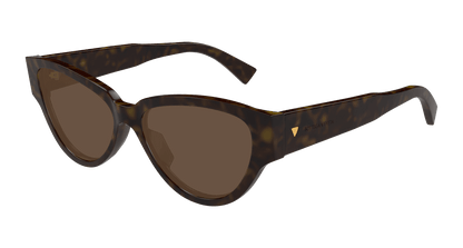 Bottega Veneta BV1319S Havana 889652512006