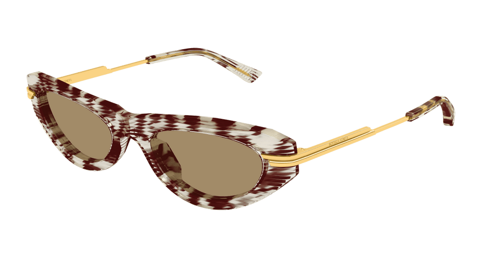 Bottega Veneta BV1368S Havana 889652545851