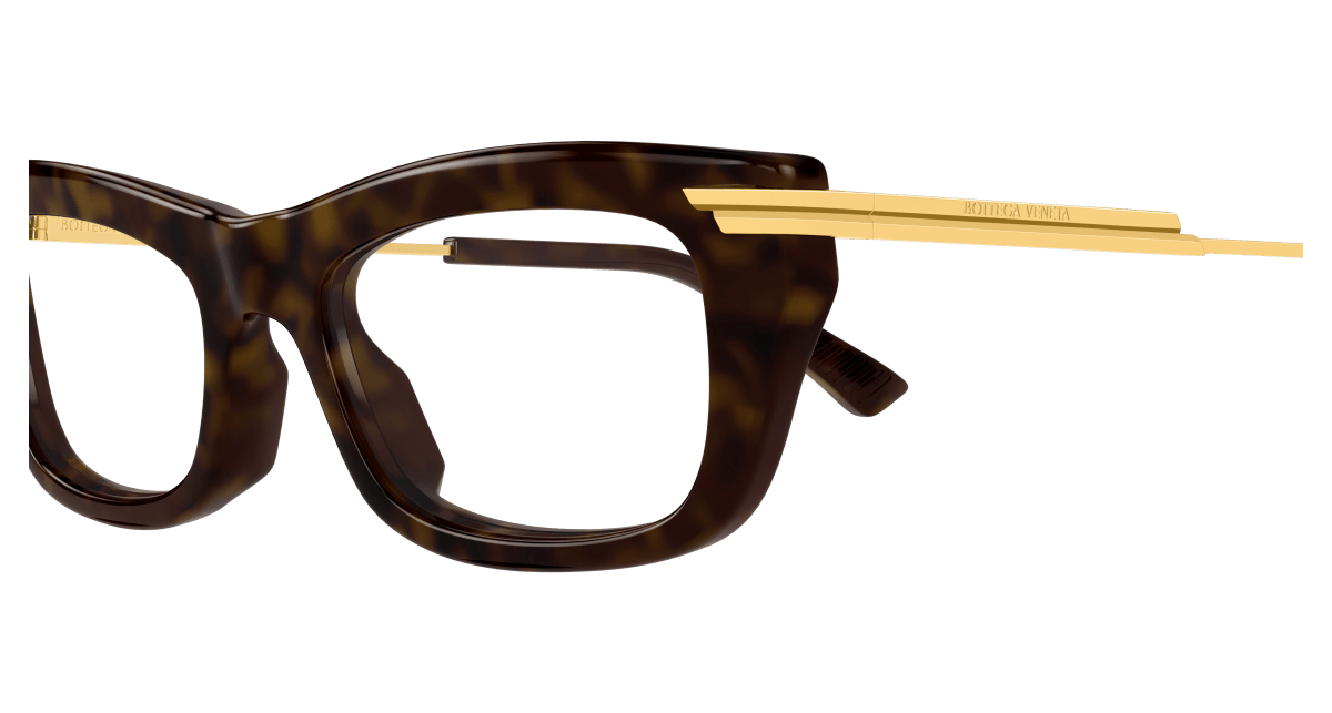 Bottega Veneta BV1371O Havana 889652545981