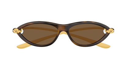 Bottega Veneta BV1390S Havana 889652557939