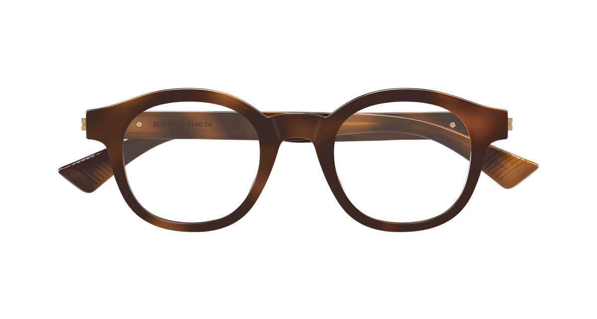 Bottega Veneta BV1413O Havana 889652598673