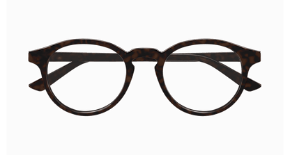 Bottega Veneta BV1420O Havana 889652589497