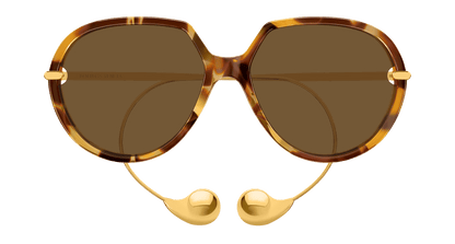 Bottega Veneta BV1436S Havana 889652623436