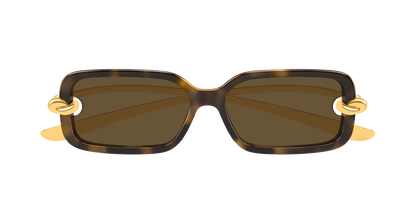 Bottega Veneta BV1439S Havana 889652635484