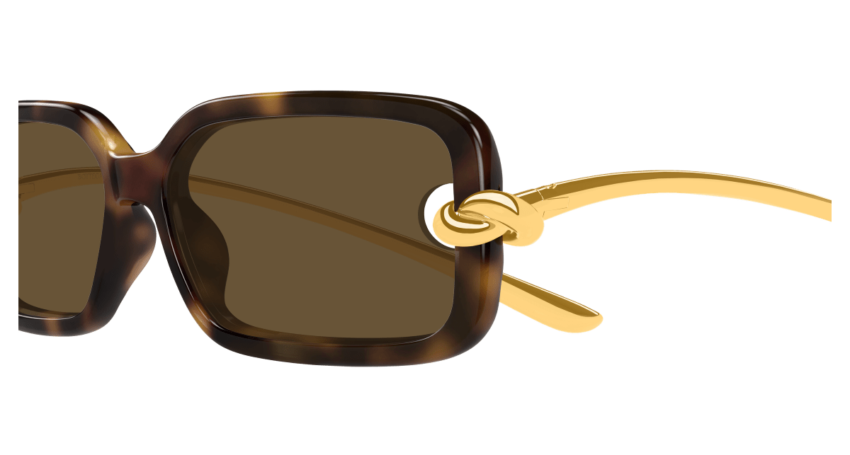 Bottega Veneta BV1439S Havana 889652635484