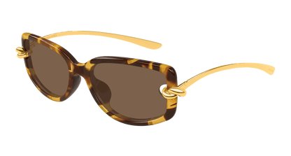 Bottega Veneta BV1440SA Havana 889652635545