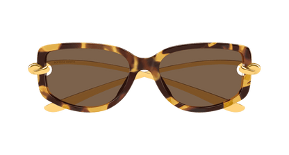 Bottega Veneta BV1440SA Havana 889652635545
